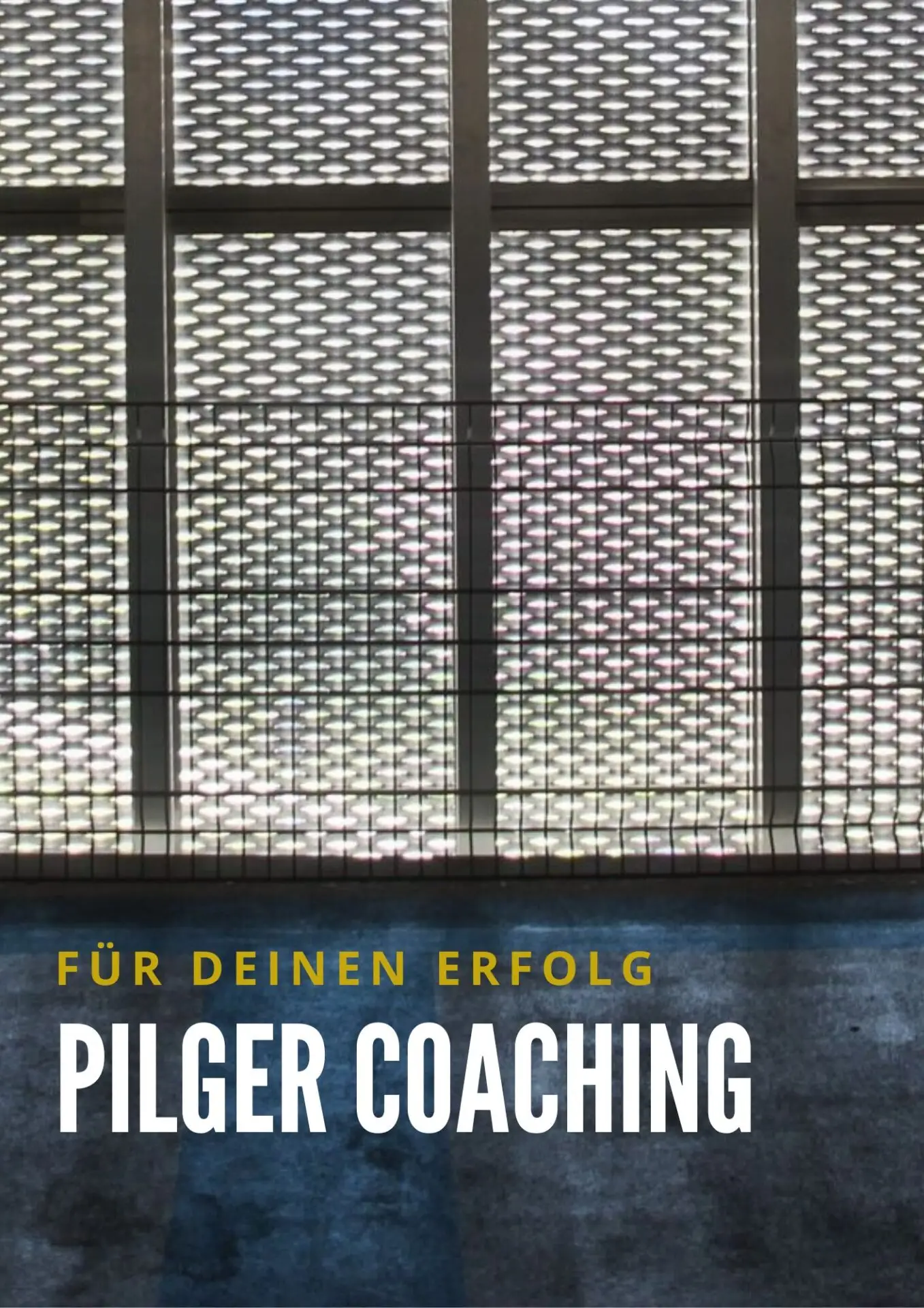Pilger Coaching Erfolg macht Erfolg
